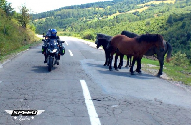 14 krajów w siodle, czyli motocyklowe Bałkany Agaty